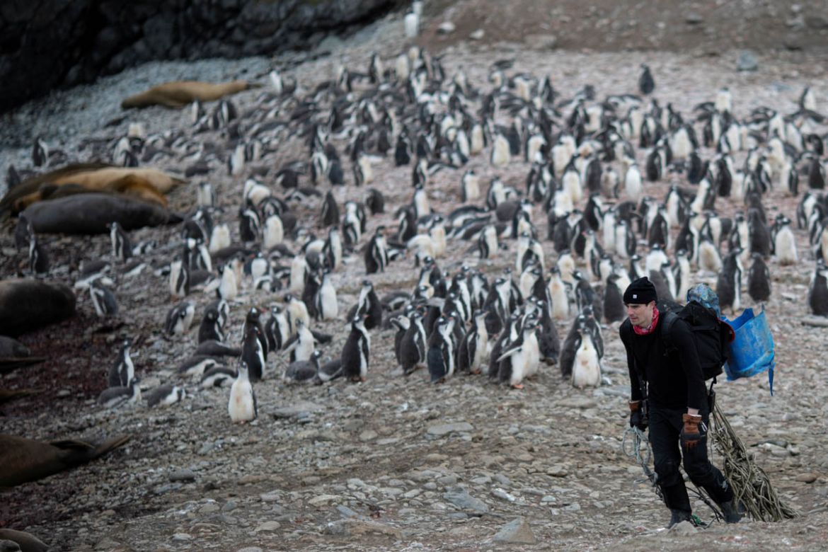 Michael Wethington, a scientist, collects rubbish on Snow Island, Antarctica, January 31, 2020. REUTERS/Ueslei Marcelino SEARCH "ANTARCTICA PENGUINS" FOR THIS STORY. SEARCH "WIDER IMAGE" FOR ALL S