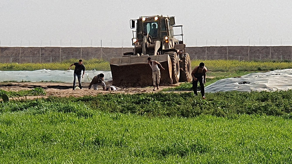 This picture taken with a mobile phone on February 23, 2020 shows men trying to collect a body as a bulldozer approaches them, along the Gaza-Israel border, east of Khan Yunis in the southern Gaza Str