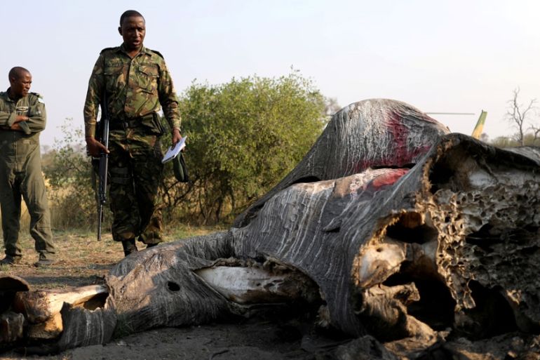 DF) reacts as he inspects the carcass of an elephant, after reports that conservationists have discovered 87 of them slaughtered just in