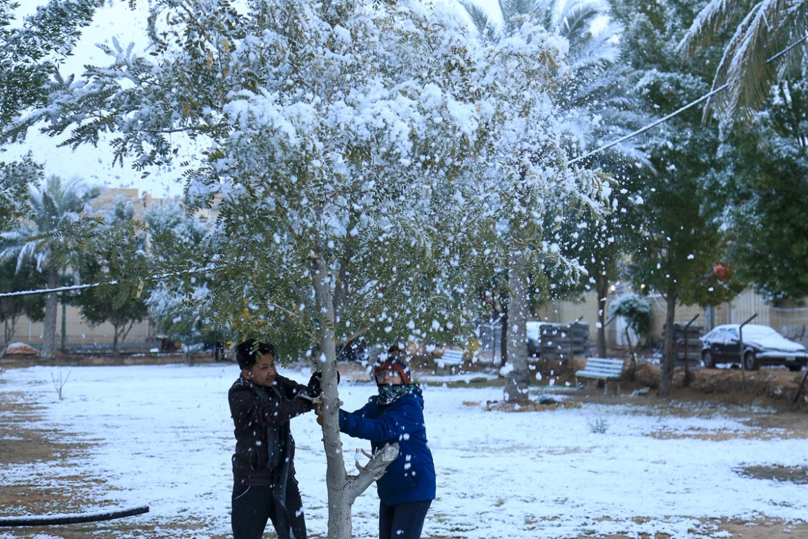 Iraqi boys shake snow off a tree at a park in the holy Shiite city of Karbala on February 11, 2020. - Iraq''s capital Baghdad woke up covered in a thin layer of fresh snow, an extremely rare phenomenon