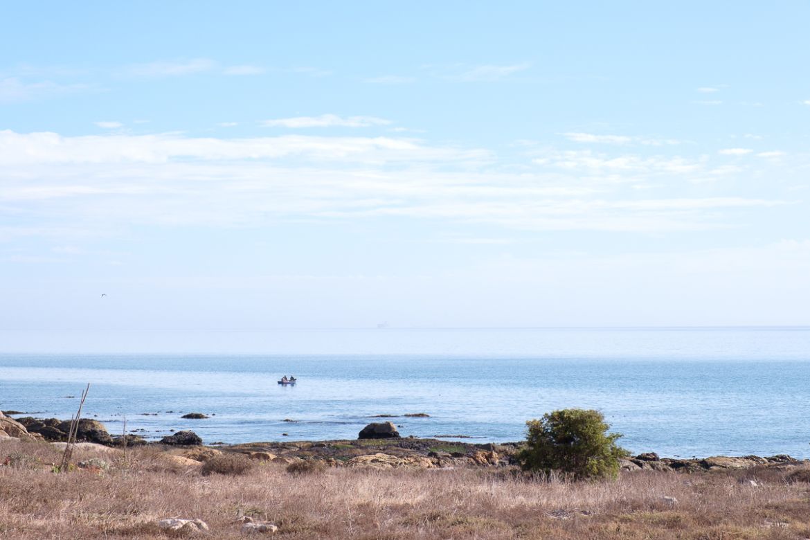 10 March 2020: A bakkie can be seen fishing illegally at Steenberg’s Cove. Fishers who use those row boats are only able to bring in a small catch, and whatever is caught tends to go directly into th