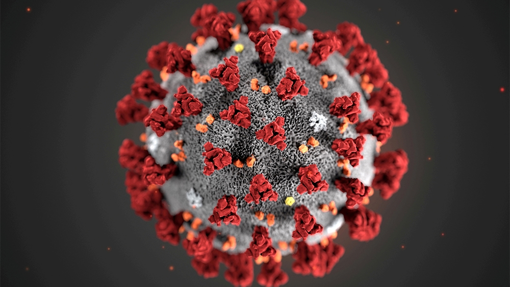 FILE PHOTO: The ultrastructural morphology exhibited by the 2019 Novel Coronavirus (2019-nCoV), which was identified as the cause of an outbreak of respiratory illness first detected in Wuhan, China, 