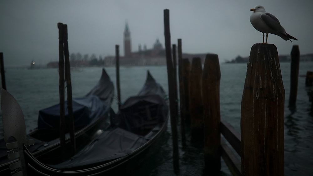 A seagull stands in a pole next to parked gondolas at the lagoon on a rainy day in Venice, Sunday, March 1, 2020. Italian tourism officials are worrying a new virus could do more damage to their indus