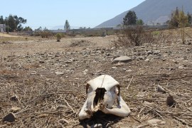 Chile drought