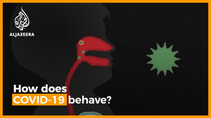 Animation: How do I know I have coronavirus?
