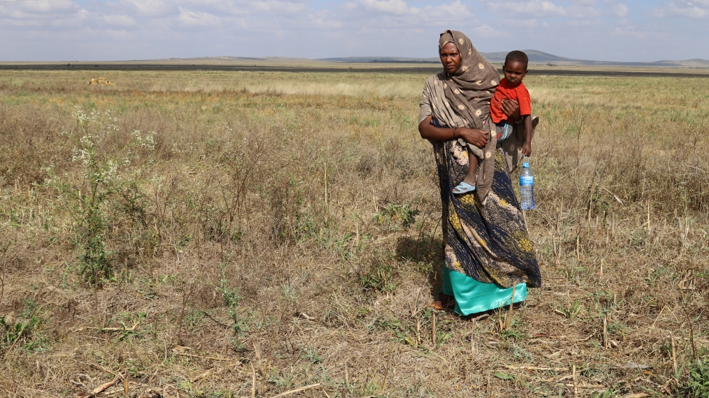 An internally displaced Ethiopian carries her youngest son in her wheat field that was damaged by heavy rains and desert locusts in the outskirts of Tuli Guled