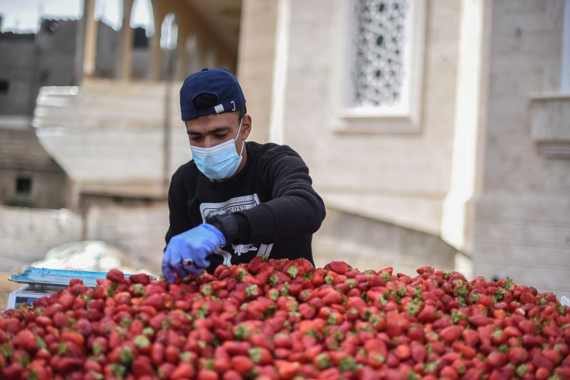 Mohammed Al-Masri, 23, sells strawberries at his stall in Khan Yunis. Few street hawkers take the precautions he does. “Ultimately, I have a family to take care of,” he says.