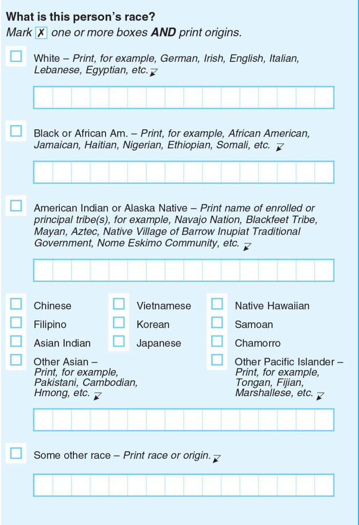 A screengrab of the planned 2020 question on race [US Census Bureau]