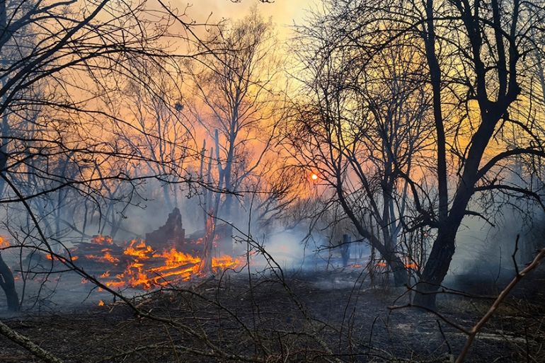Chernobyl forest fire
