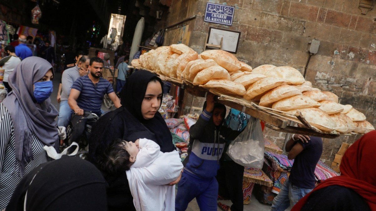 Mesir menunda pembayaran impor gandum di tengah krisis dolar |  Berita Pertanian