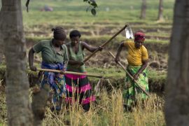 Rwanda farming