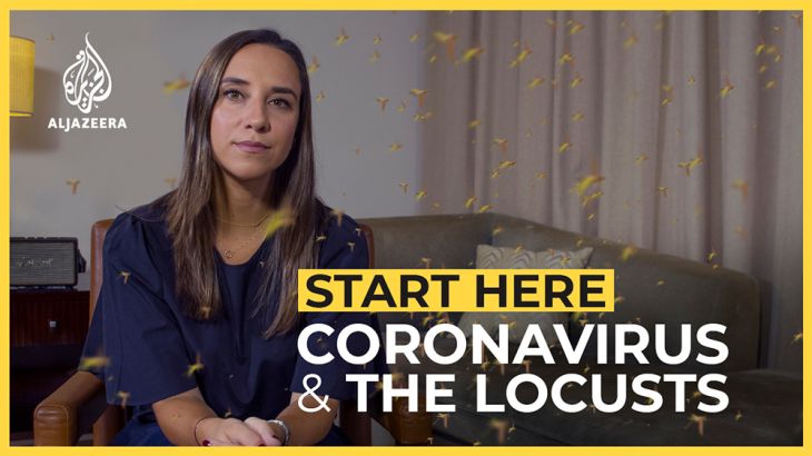 Coronavirus locusts start here