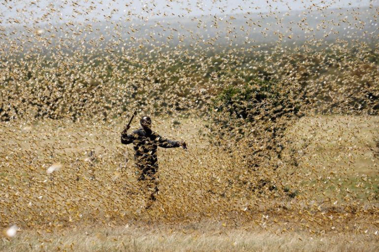 A man attempts to fend-off a swarm of desert locusts at a ranch near the town on Nanyuki in Laikipia county