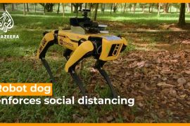 Robot dog enforces social distancing rules
