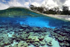 Coral reef reuters