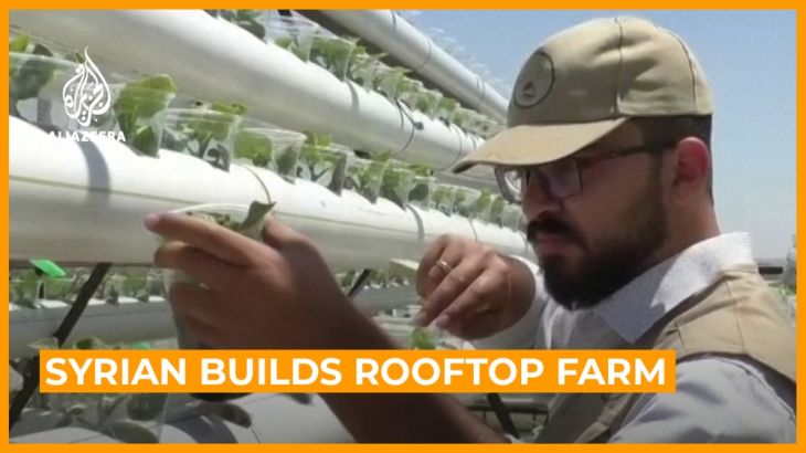 Syrian builds rooftop farm