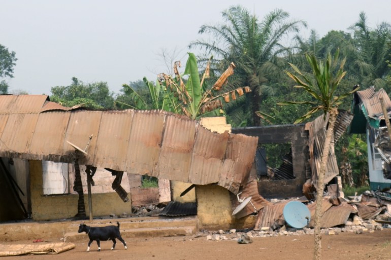 A goat walks past burned and damaged buildings in Kembong