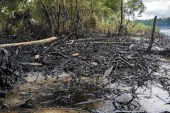 The estimated 15,800 barrels of oil spilled by two pipelines were accompanied by flash floods, extending the reach of the contamination. Amarunmesa, Orellana, Ecuadorian Amazon, 2020 [Telmo Ibarburu]