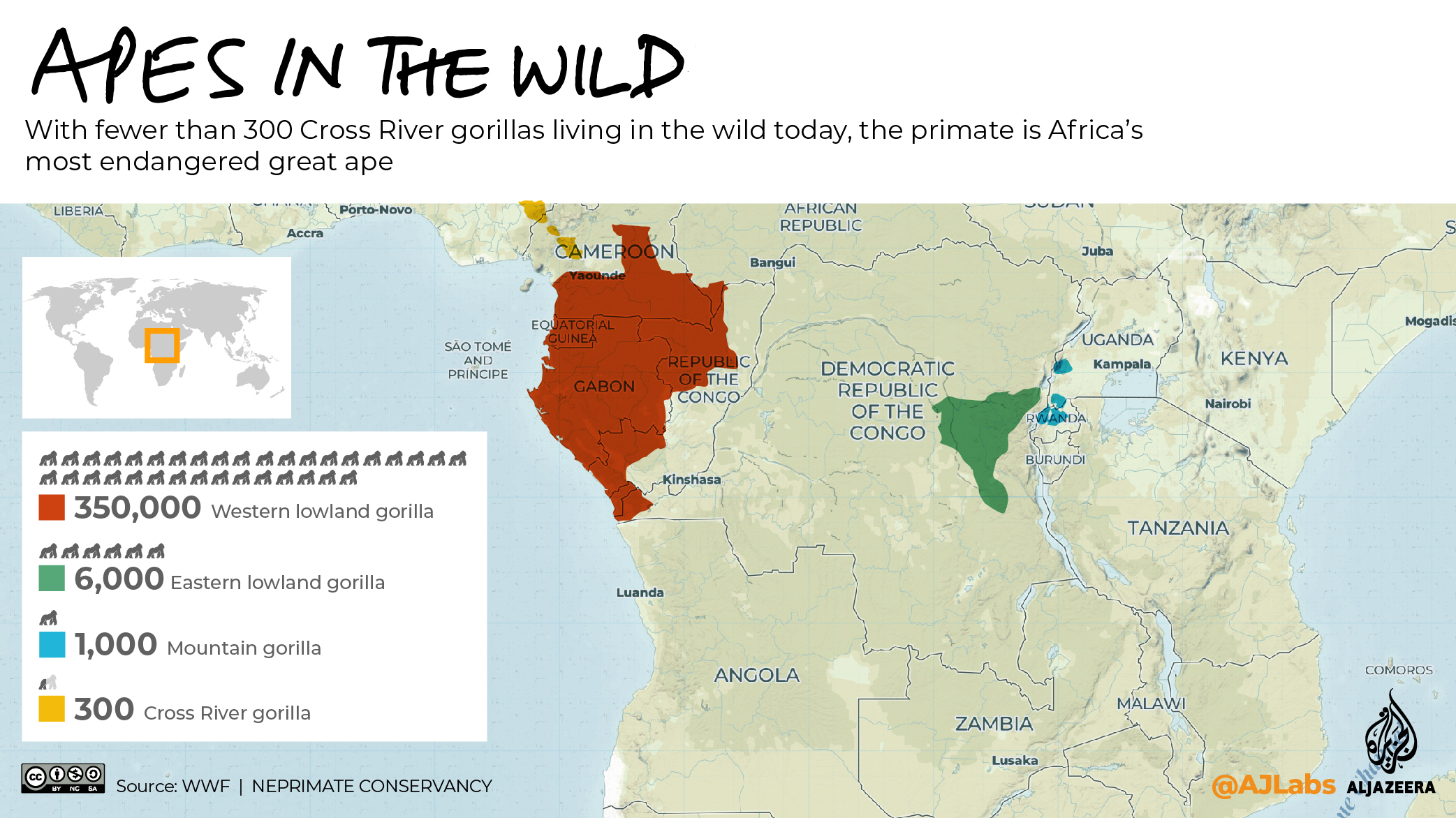INTERACTIVE: The Green Read - gorillas and tigers