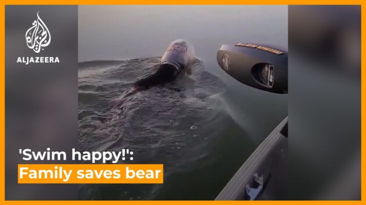 Family rescue bear swimming with plastic tub stuck on its head