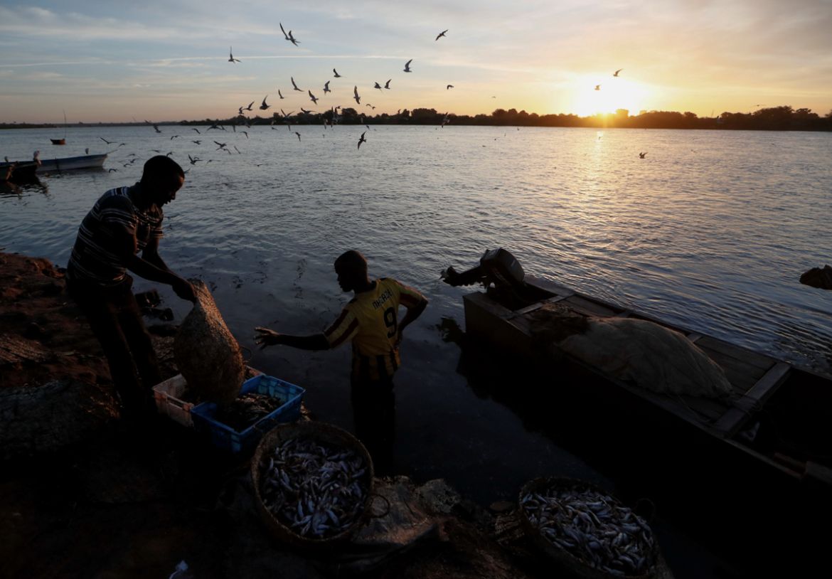 Fishermen wash their catch in the waters of the Nile river in Omdurman, Sudan, February 21, 2020. REUTERS/Zohra Bensemra SEARCH "BENSEMRA NILE" FOR THIS STORY. SEARCH "WIDER IMAGE" FOR ALL STORIES
