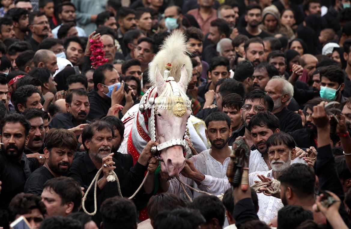 epaselect epa08633824 Pakistani Shiite Muslims touch Zuljanah, a horse symbolizing the horse of Imam Hussain, grandson of Prophet Muhammad, during a mourning procession during Islamic sacred month of