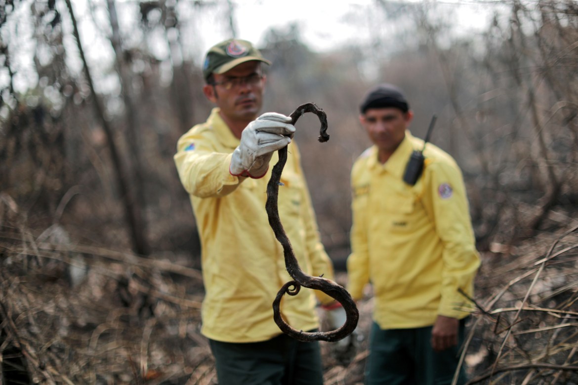 A Brazilian Institute for the Environment and Renewable Natural Resources (IBAMA) fire brigade member holds a dead snake during an attempt to control hot points in a tract of the Amazon jungle near Ap