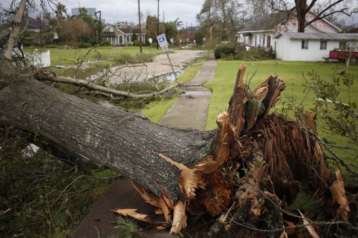 An uprooted blocks a sidewalk after Hurricane Laura made landfall in Lake Charles, Louisiana, U.S., on Thursday, Aug. 27, 2020. Hurricane Laura raked across Louisiana early on Thursday, becoming one o