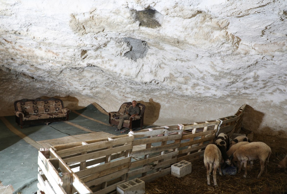 Sheep feed in a make-shift enclosure inside a cave housing the home of Ahmed Amarneh, in the village of Farasin, west of Jenin, in the northern occupied West Bank on August 4, 2020. - Amarneh, a 30 ye