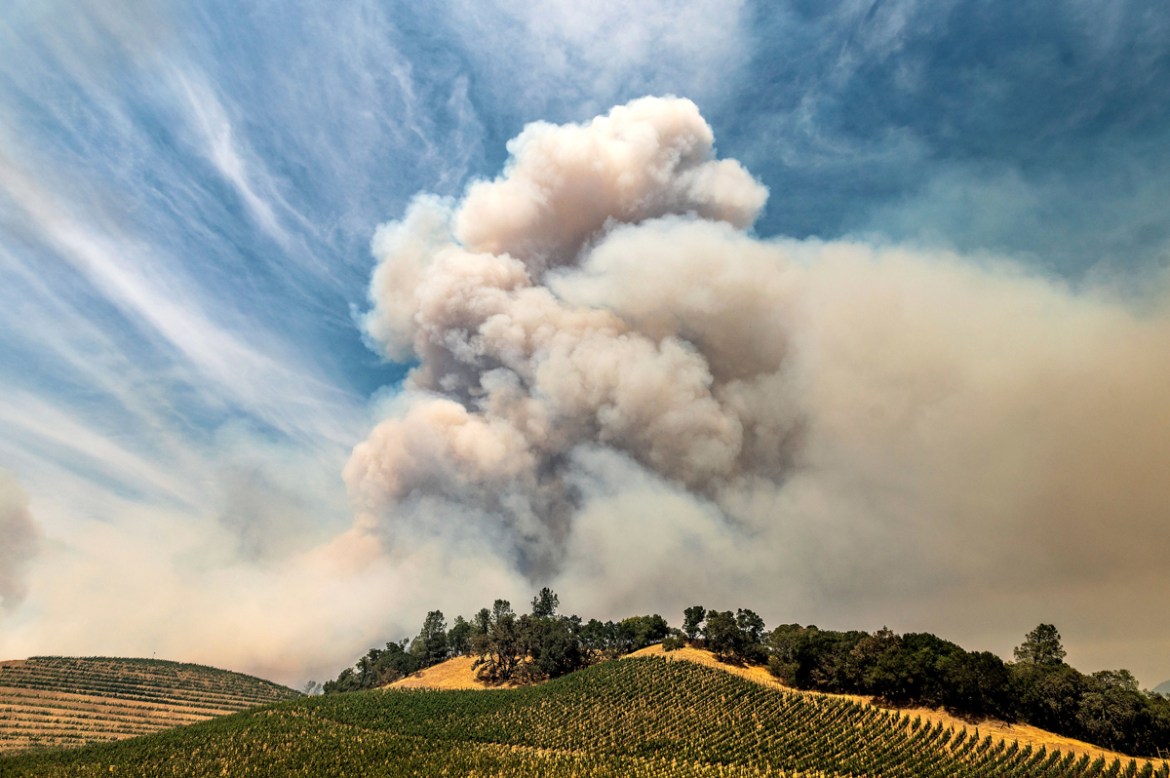 A plume rises over a vineyard in unincorporated Napa County as the Hennessey Fire burns on Tuesday, Aug. 18, 2020. Fire crews across the region scrambled to contain dozens of blazes sparked by lightni