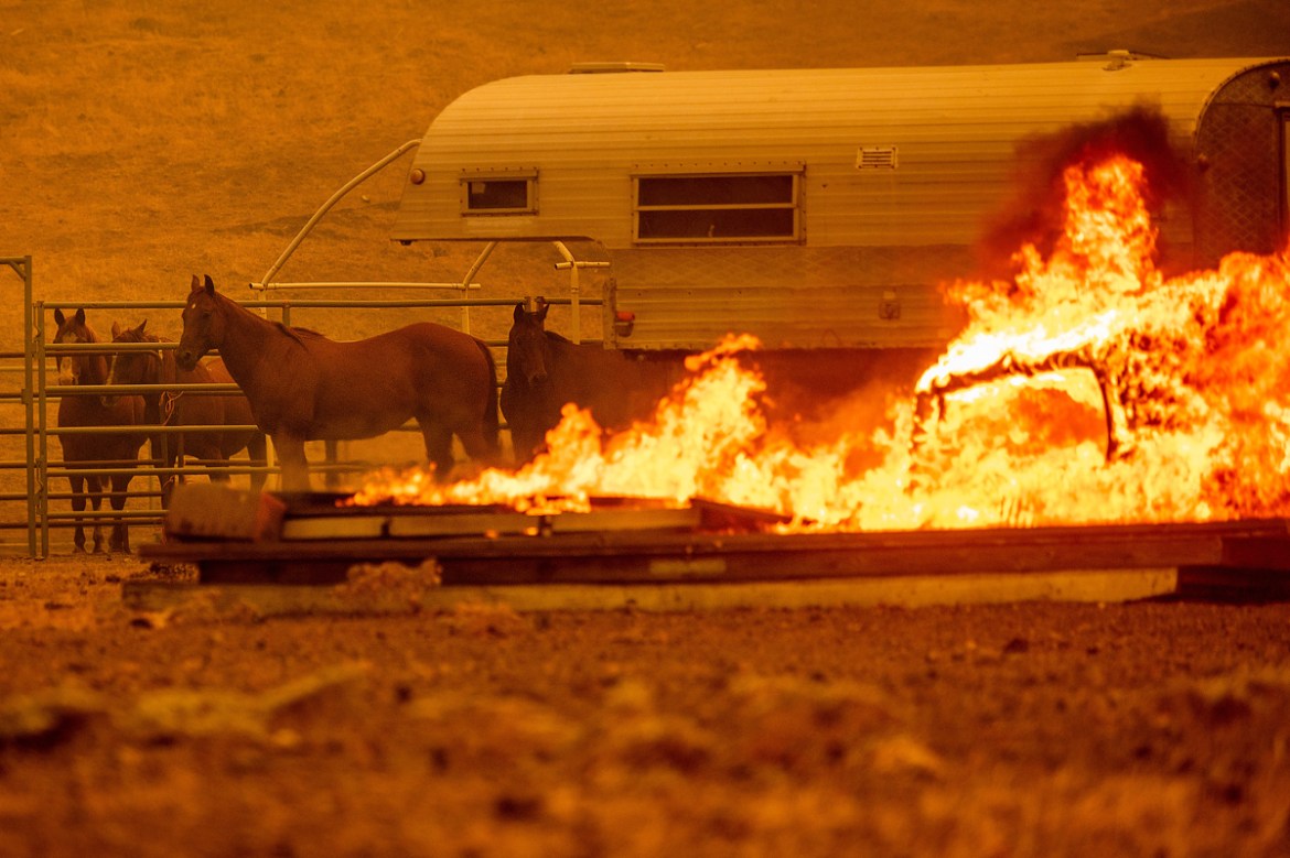 Horses stand in an enclosure as the LNU Lightning Complex fires tear through the Spanish Flat community in unincorporated Napa County, Calif., Tuesday, Aug. 18, 2020. Fire crews across the region scra