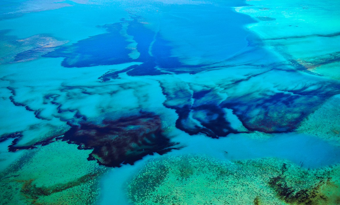 epa08593590 An aerial photograph shows oil drifting ashore over coral reefs from the MV Wakashio, a Japanese owned Panama-flagged bulk carrier ship that recently ran aground off the southeast coast of