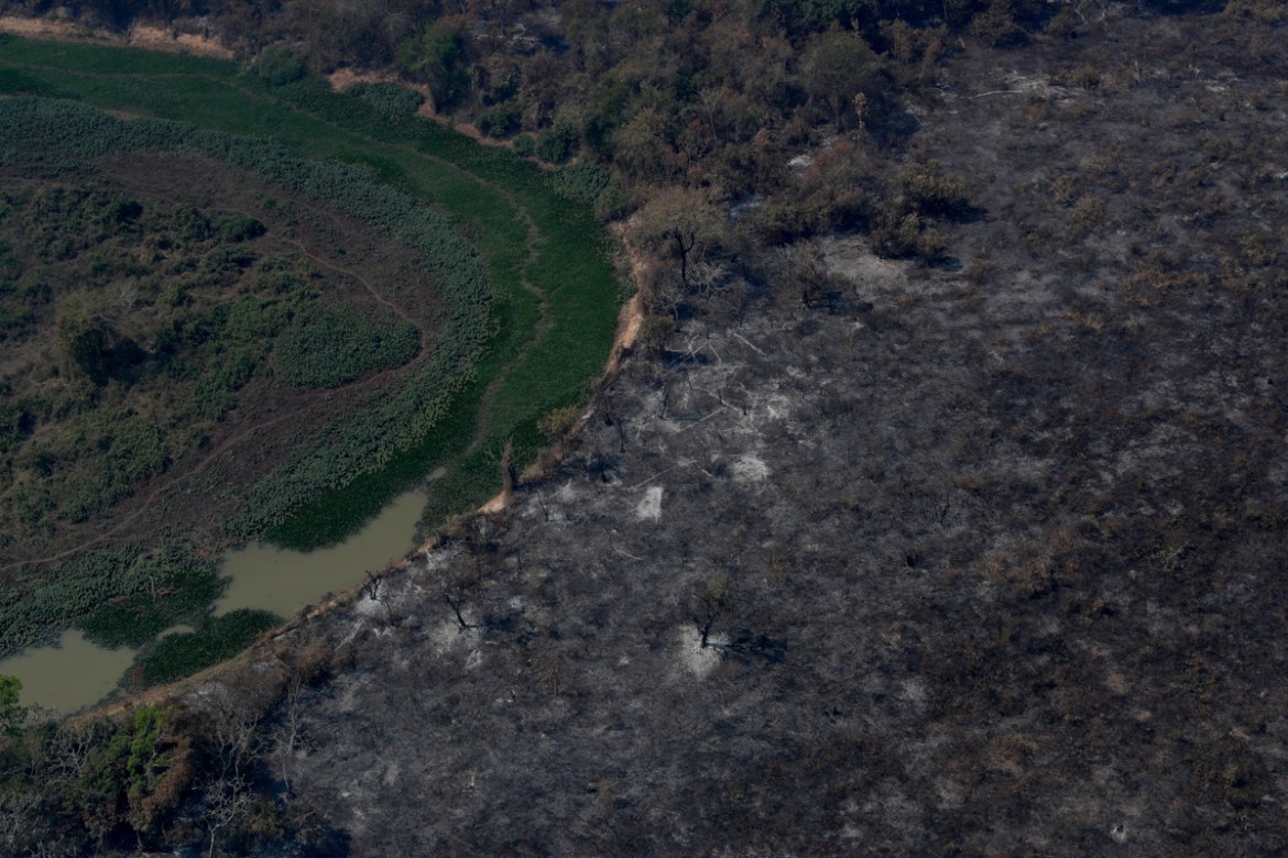 An aerial view shows burnt trees and vegetation in the Pantanal, the world''s largest wetland, in Pocone, Mato Grosso state, Brazil, August 28, 2020. REUTERS/Amanda Perobelli SEARCH "PANTANAL PEROBELLI