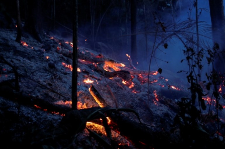 Brazil Amazon rainforest wildfire