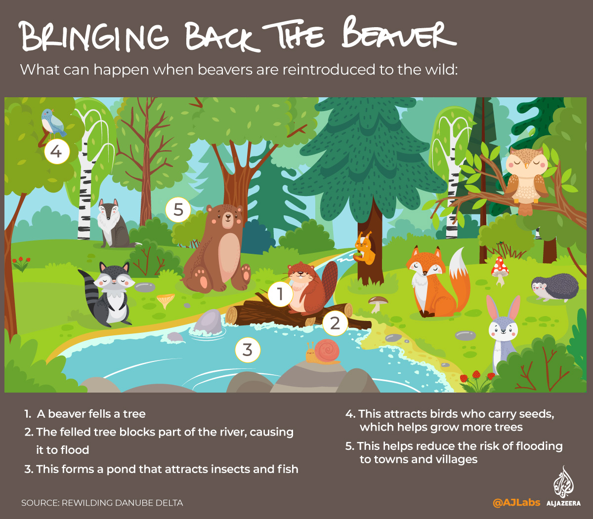 Interactive: Green Read - Beaver