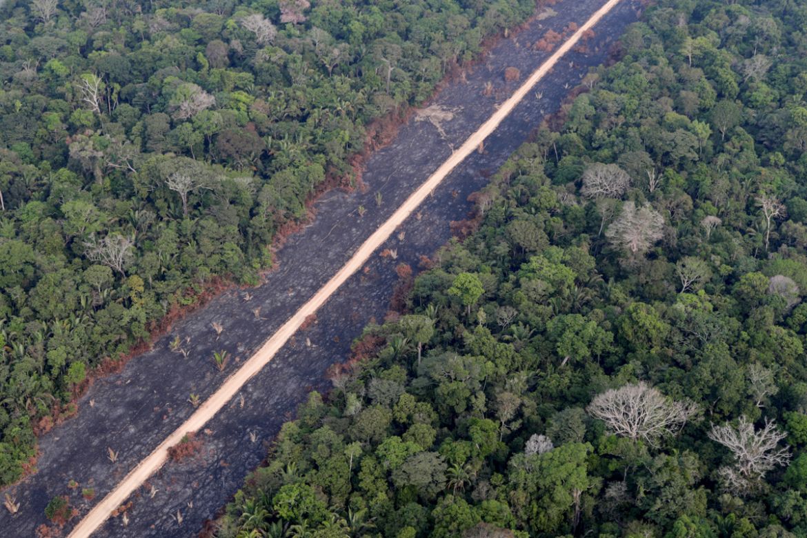 A road runs through a tract of burnt Amazon jungle near Porto Velho, Rondonia State, Brazil, August 14, 2020. Creatures of the Amazon, one of the earth''s most biodiverse habitats, face an ever-growing