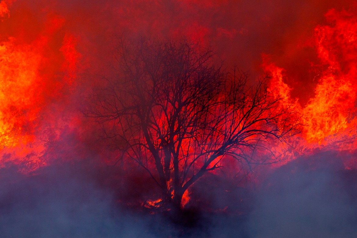 Uma árvore é queimada enquanto os bombeiros trabalham no controle da propagação do incêndio em Blue Ridge, acendendo contra-fogos perto de casas em Butterfield Ranch, Orange County.  [Etienne Laurent / EPA]