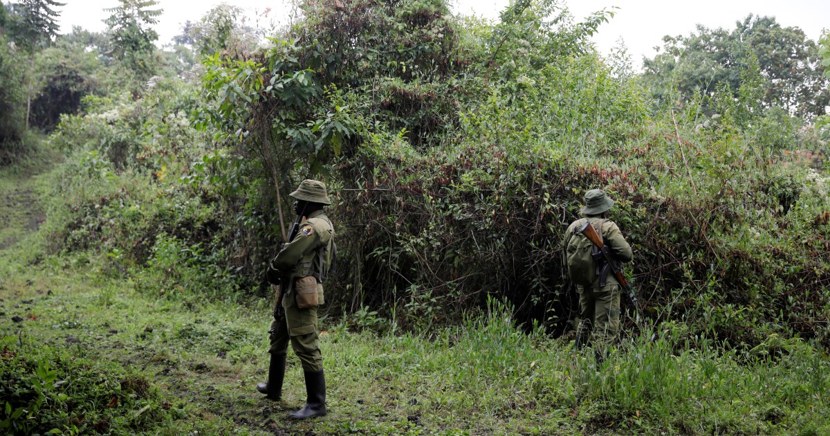 Dozens killed in eastern DRC in latest attacks blamed on ADF