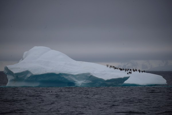 Няма бързо решение за обръщане на „удивителната“ загуба на антарктически морски лед: Учени