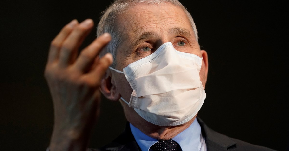 fauci-says-covid-infections-might-be-plateauing-in-the-us