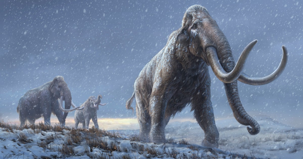 Seniausia pasaulyje mamuto DNR seka yra milijono metų senumo  Aplinkos naujienos