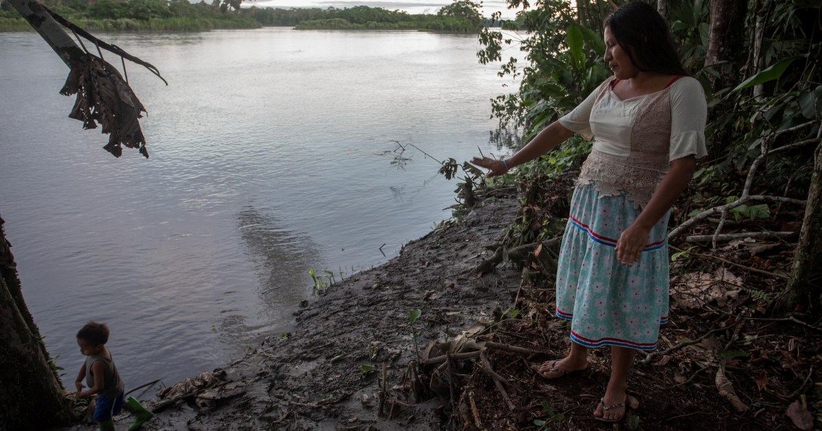 How will Ecuador’s elections affect the future of the Amazon? | Environment News