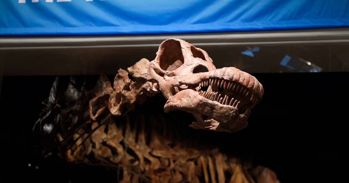Argentinian titanosaur may be oldest yet: Study - Al Jazeera English
