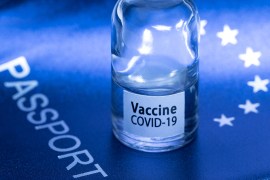 Vaccine passports could be required for everything from international travel to visiting theatres and restaurants, experts say [File: Joel Sagat/AFP]