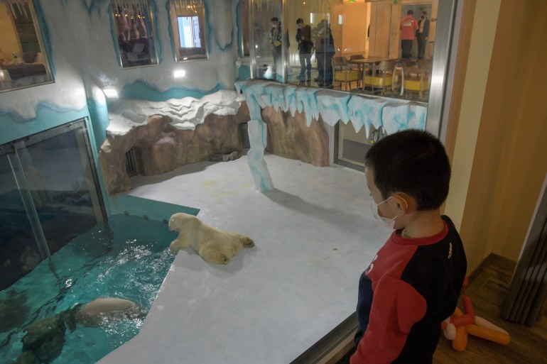 Visitors look at polar bears at an enclosure inside a hotel at a newly-opened polarland-themed park in Harbin [Cnsphoto via REUTERS]