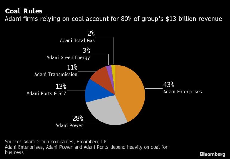 Adani Group revenue breakdown chart [Bloomberg]