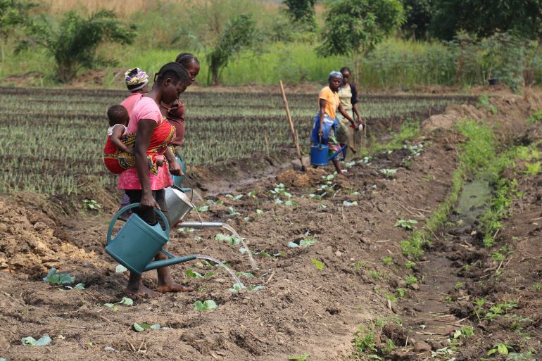 Workers are seen restoring fields and ponds at an agricultural and fish-farming cooperative