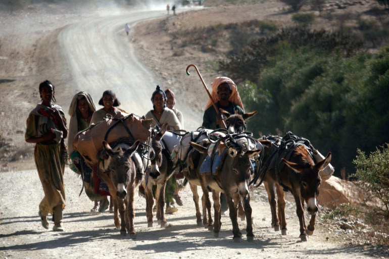 Dozens of herders were reportedly gunned down during the clashes over land dispute along the border of the two regions of Afar and Somali in northeast Ethiopia [File: Radu Sigheti/Reuters]
