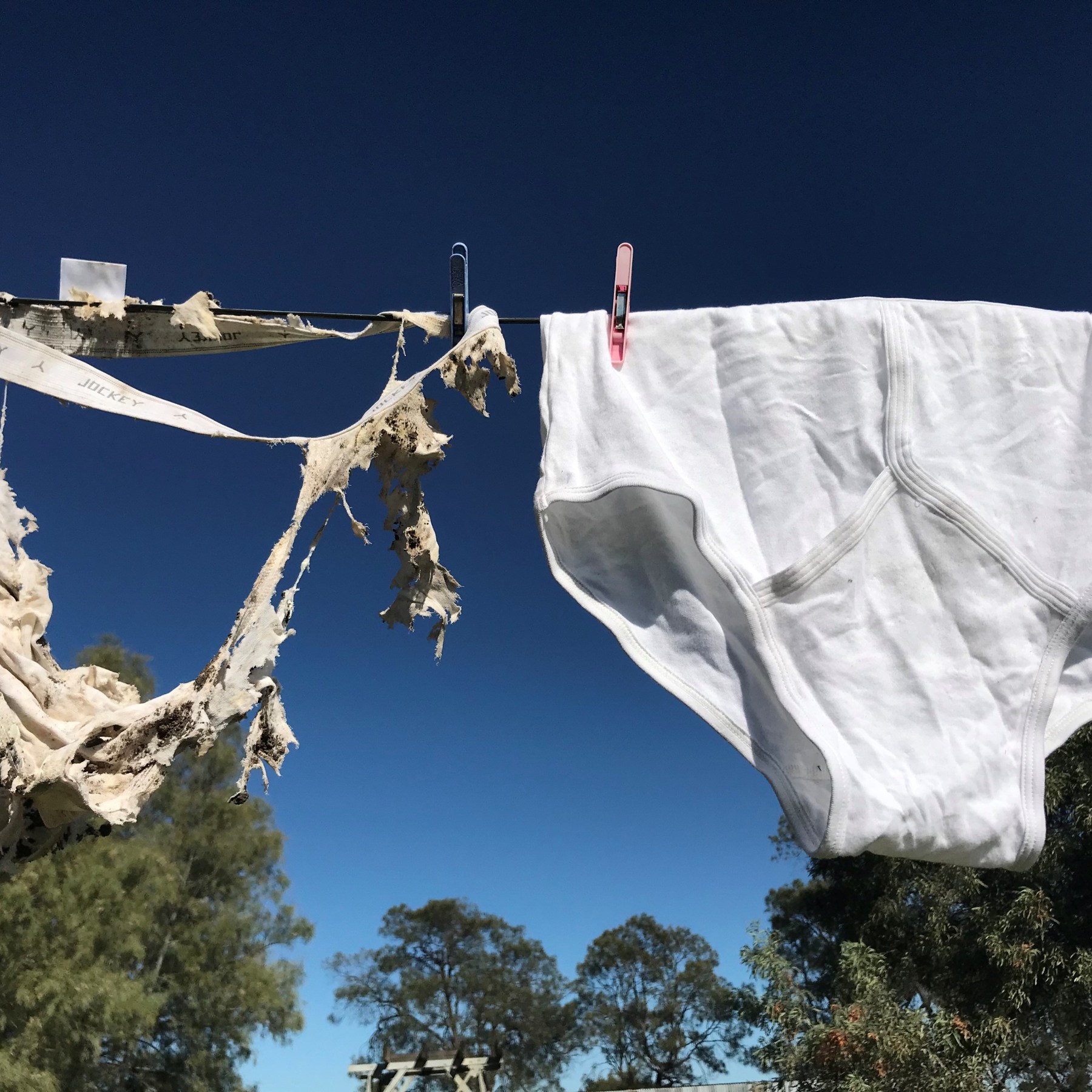 Why some people are soiling their underwear to help the earth