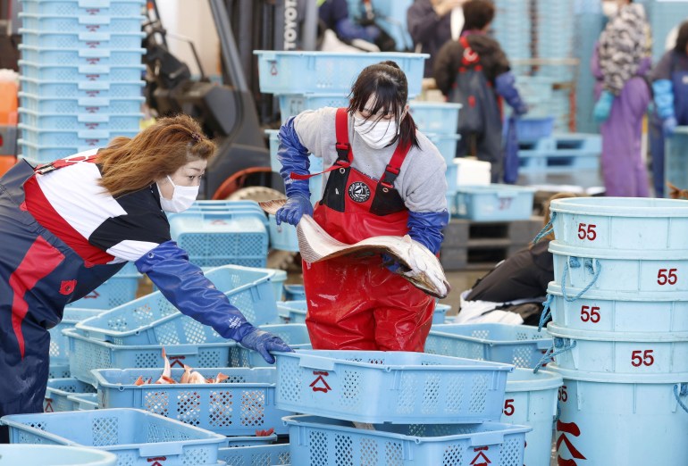 Workers in Fukushima prefecture sort through the catch. A woman in red overalls is holding a large fish while someone else points at a blue container 